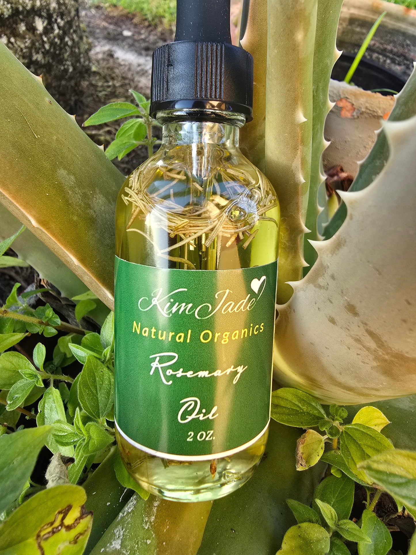 Rosemary Oil